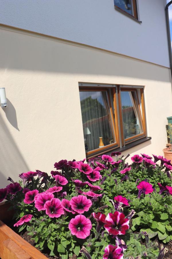 Ferienwohnung Pimer Ranschbach Kültér fotó